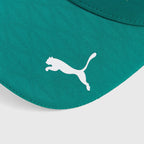 Gorra Fernando Alonso Aston Martin F1 Team 2026